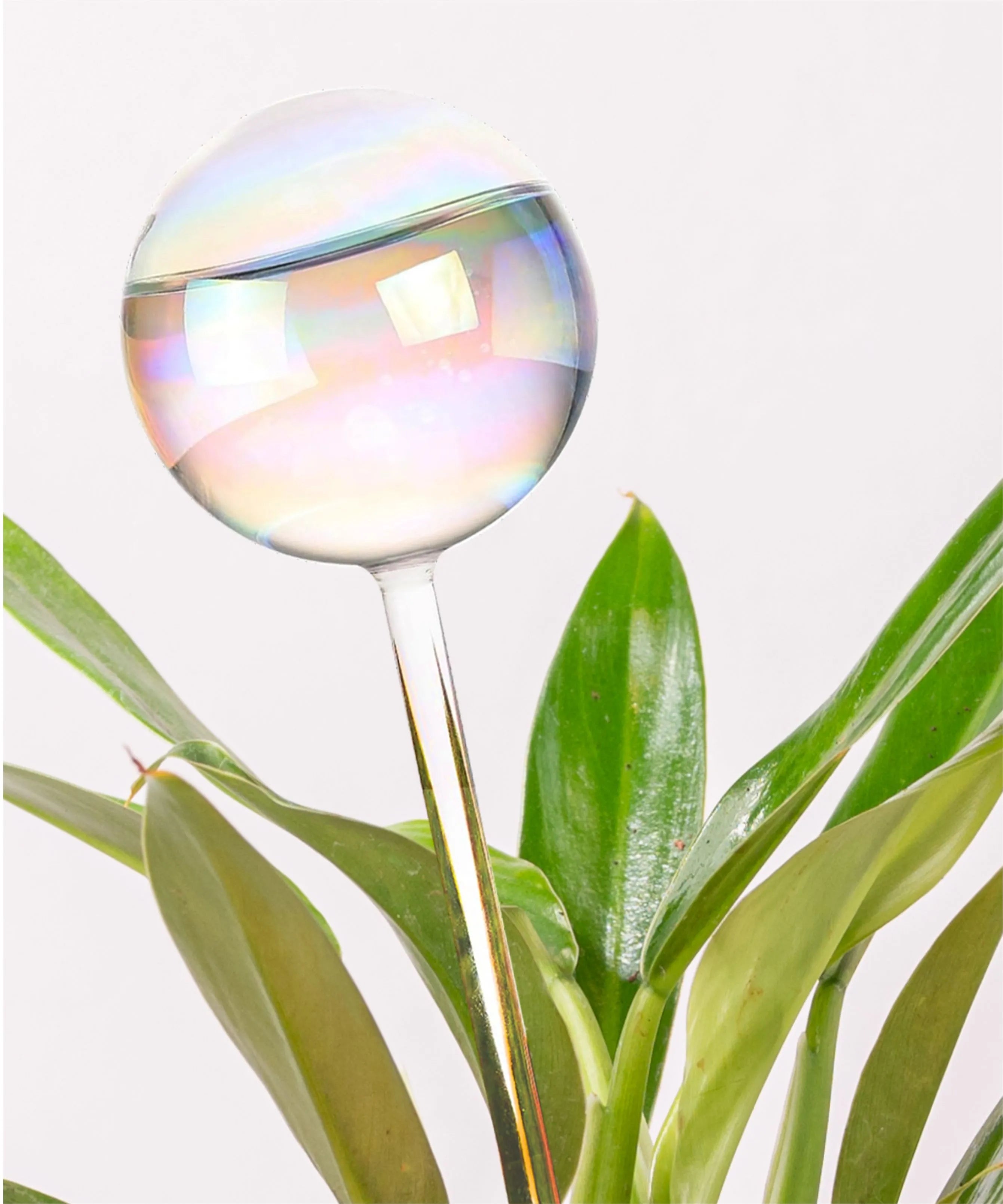 crystal shaped self-watering plant globe Plant Watering Globe – Kyari.co