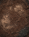 premium soil