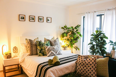 List of 13 Bedroom Indoor Plant to absorb CO2, Pollutants, Toxins