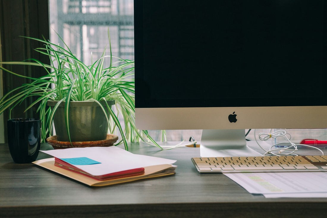 Choosing the Right Plants for Your Desk