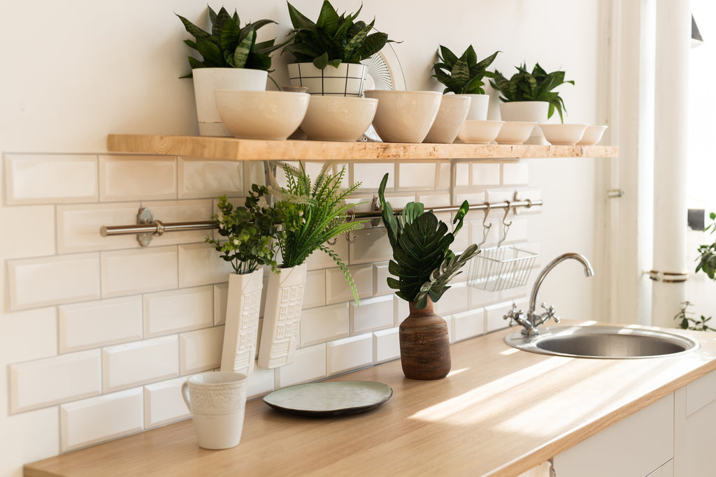 Stylish scandinavian kitchen with plants