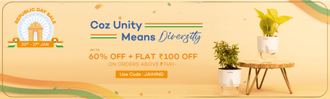 Republic Day Sale