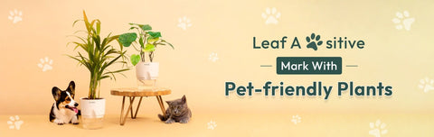 Plants For Furr-ever friends