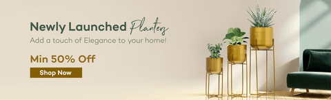 New Launch Big Planters