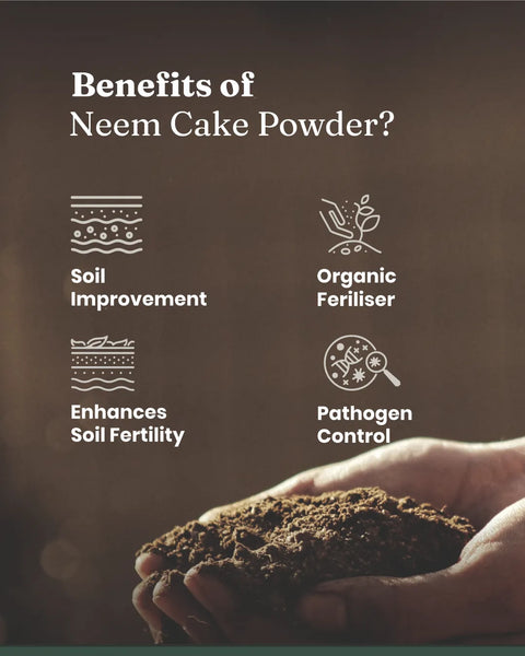 Neem Cake Powder - BYOB