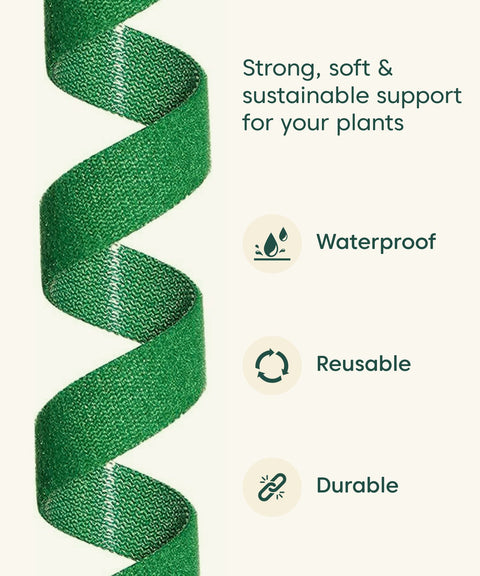 Kyari Plant Tie