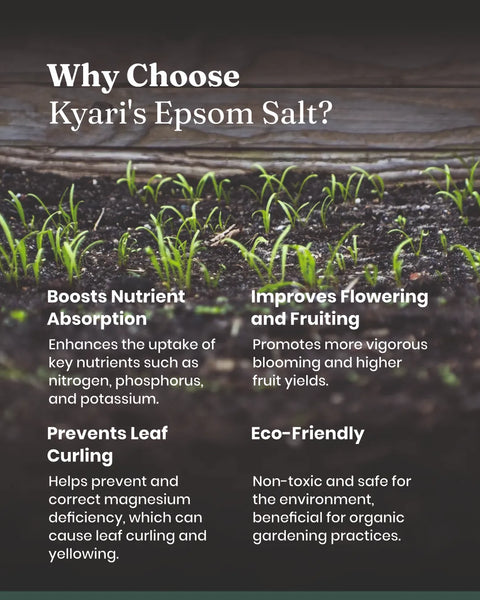 Epsom Salt