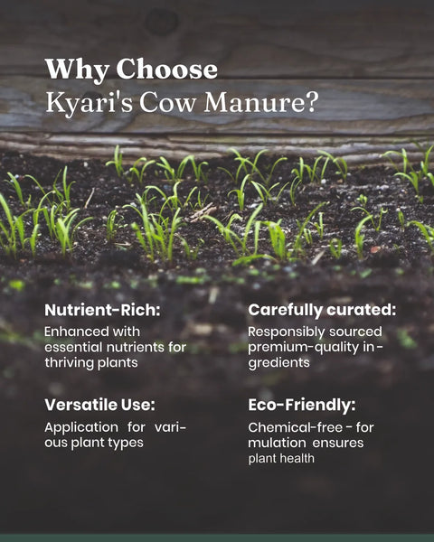 cow dung fertilizer for plants Cow Dung Manure, Compost & Fertilizer For Plants