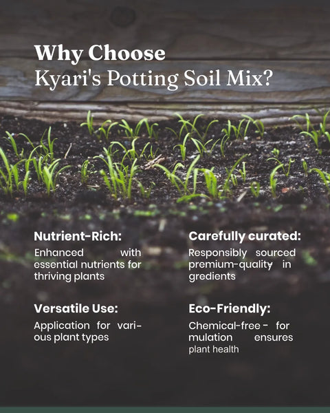 Potting Soil Mixture - BYOB