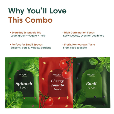 Kyari Kitchen Garden Seeds Trio – Spinach, Cherry Tomato & Basil
