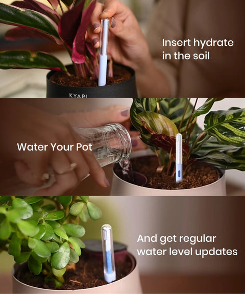 HYDRATE - Water Meter