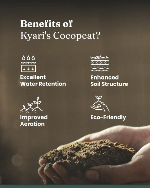 Cocopeat - 5 Kg