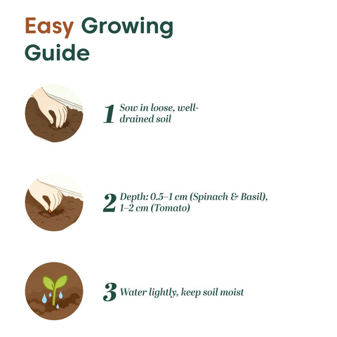 Kyari Kitchen Garden Seeds Trio – Spinach, Cherry Tomato & Basil