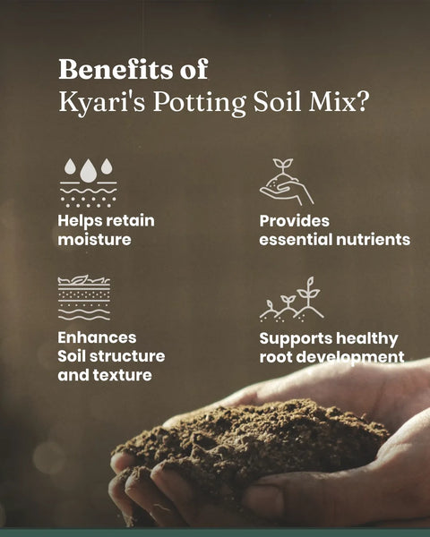 benefits of potting mix Best Organic Potting Soil Mix for Plants Growth