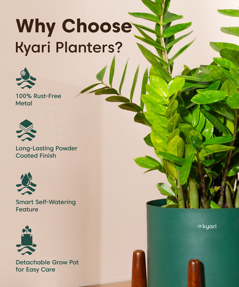 trio self-watering planter box Sage Trio
