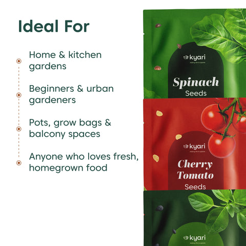 Kyari Kitchen Garden Seeds Trio – Spinach, Cherry Tomato & Basil