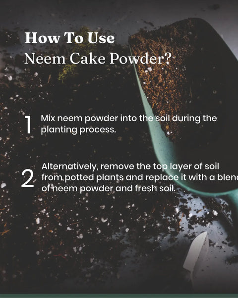 Neem Cake Powder - BYOB