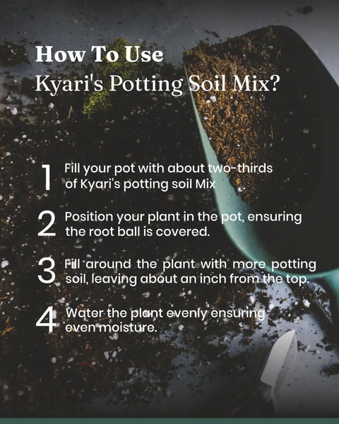 Potting Soil Mixture