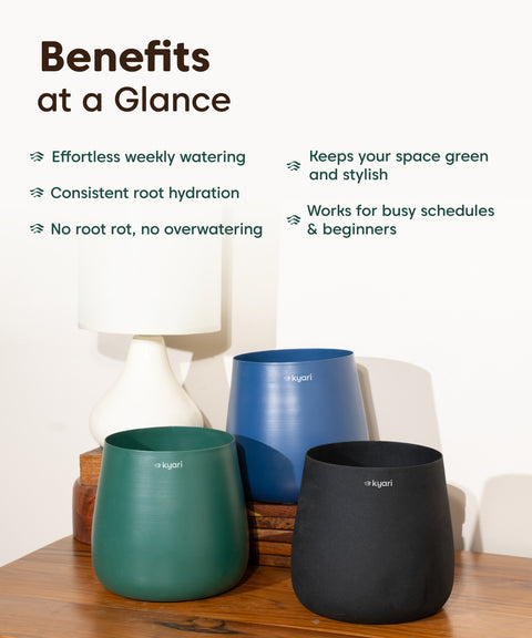 Aura Bloom - Set of 5 Metal Self Watering Pot - Medium Multicolor Combo