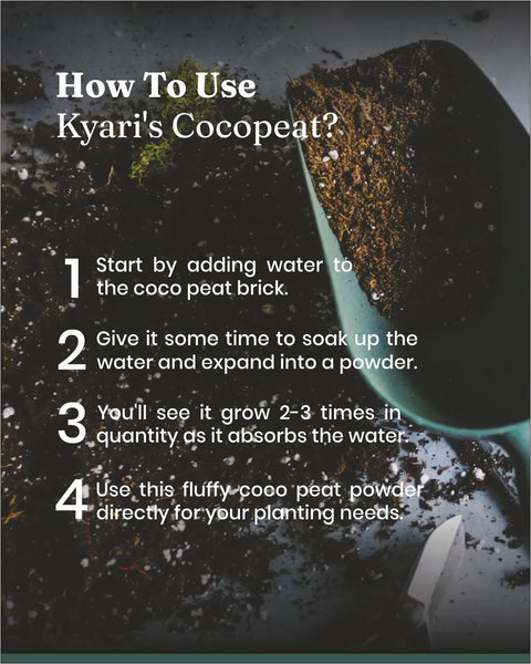 Cocopeat - 5 Kg - BYOB