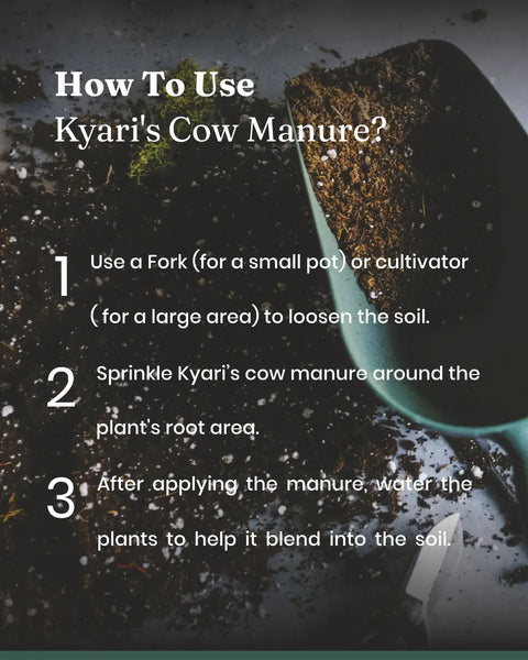 cow manure in potted plants Cow Dung Manure, Compost & Fertilizer For Plants