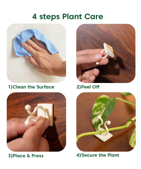 Kyari Plant Clip