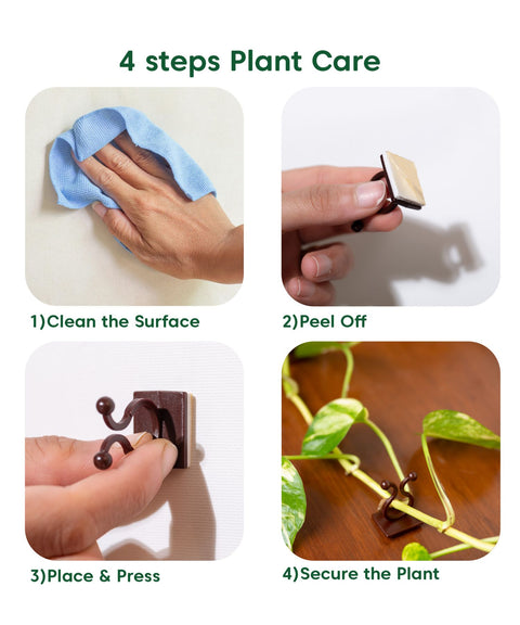 Kyari Plant Clip