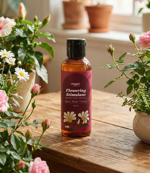 Kyari Flowering Stimulant Concentrate