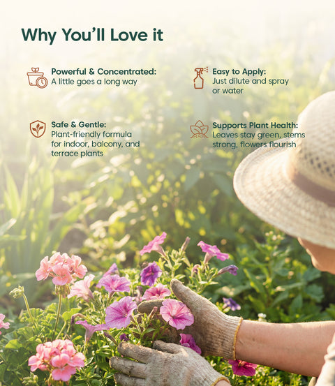 Kyari Flowering Stimulant Concentrate