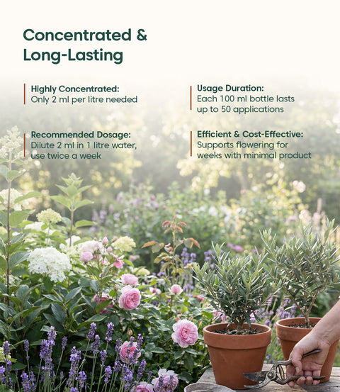 Kyari Flowering Stimulant Concentrate