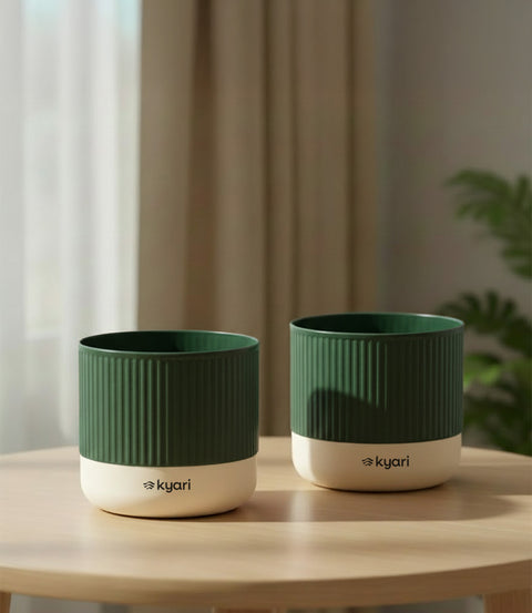 3.5' Inch Mylo Pot Green