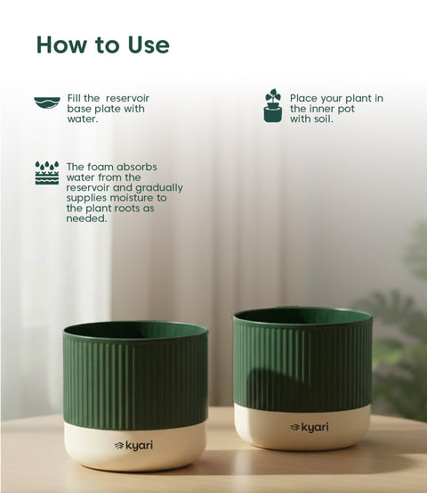 3.5' Inch Mylo Pot Green