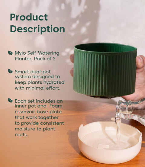 3.5' Inch Mylo Pot Green