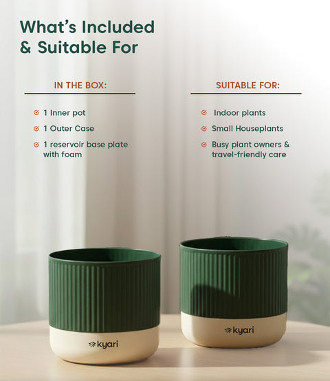 3.5' Inch Mylo Pot Green
