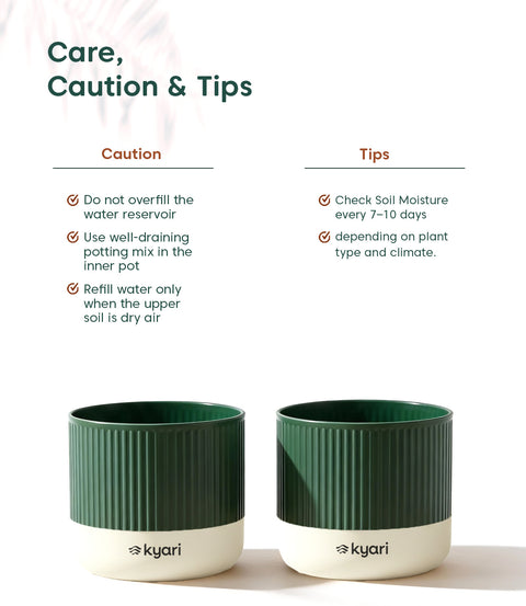 3.5' Inch Mylo Pot Green