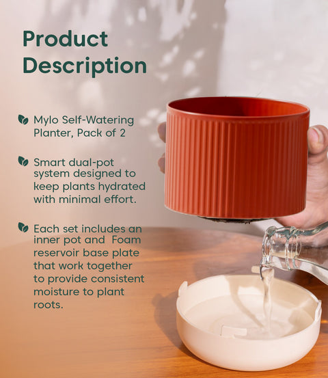 3.5' Inch Mylo Pot Red