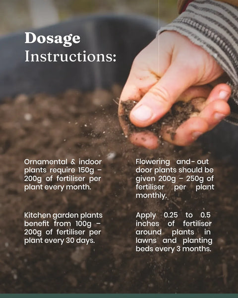 vermicompost for indoor plants Vermicompost