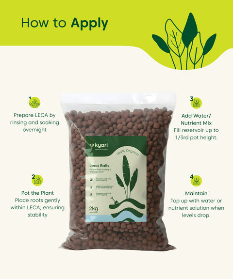 leca potting mix Hydroton Clay Balls (LECA for Plants) – 2Kg / 6L – Kyari.co