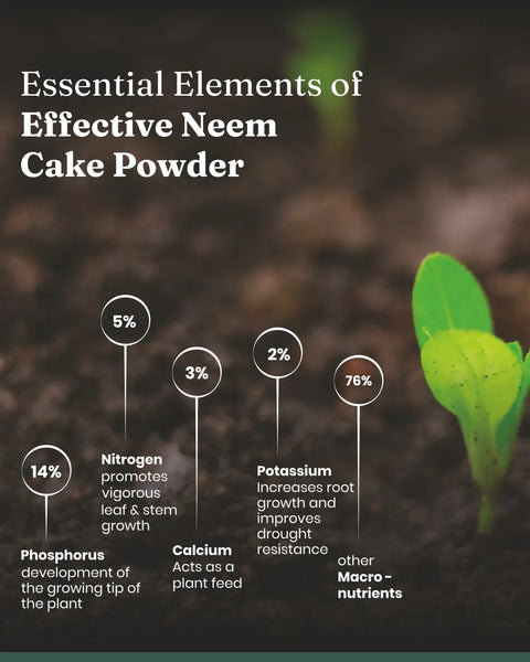 Neem Cake Powder - BYOB