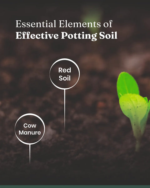 Potting Soil Mixture - BYOB