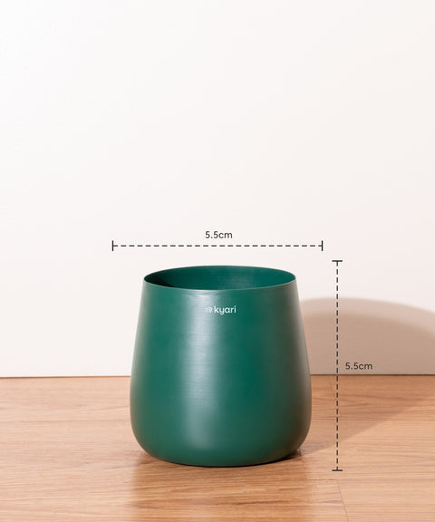 Aura Bloom - Set of 5 Metal Self Watering Pot - Medium Multicolor Combo