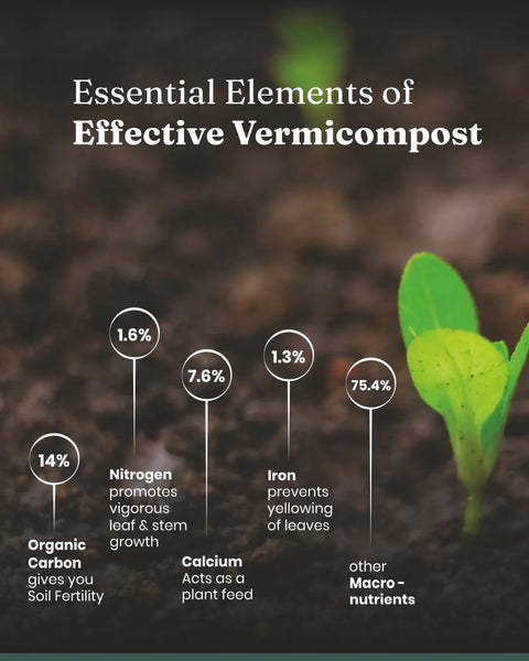 Vermicompost - BYOB