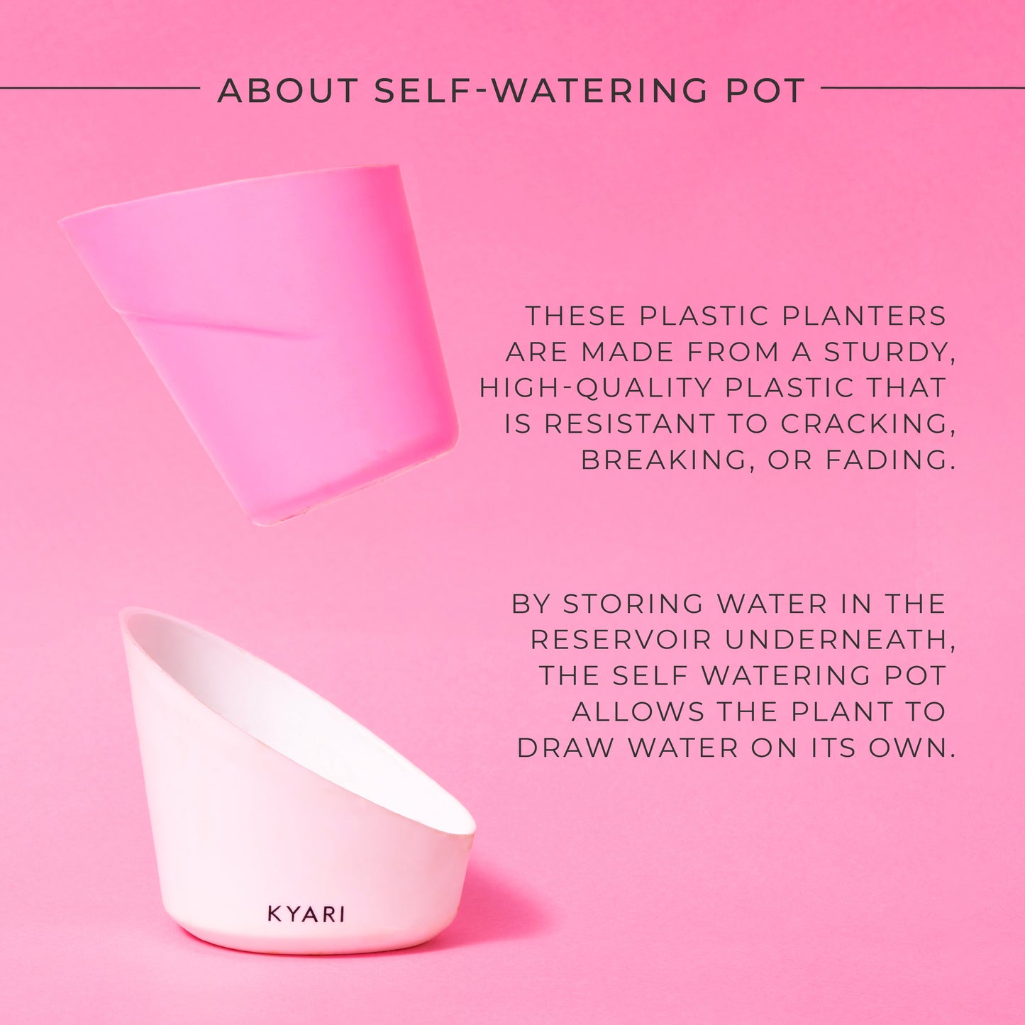 Money plant Njoy + Elite| 4" Self Watering Pot