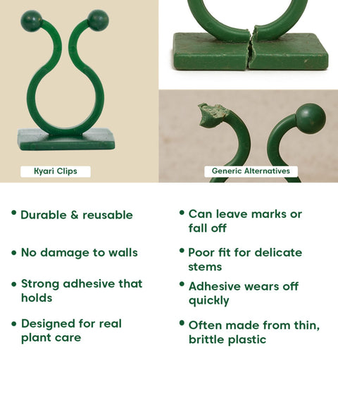 Kyari Plant Clip