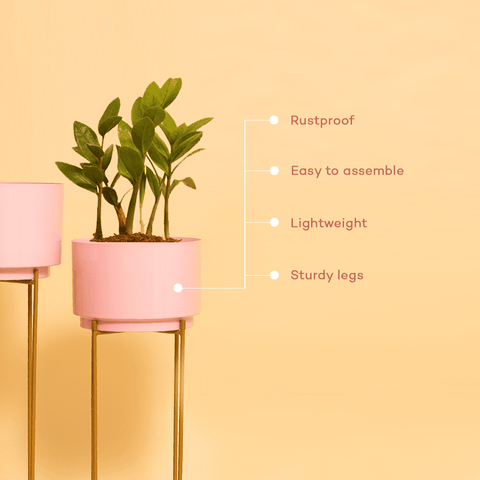 Baby Pink Cylinder Planters with Stand (Set of 2)