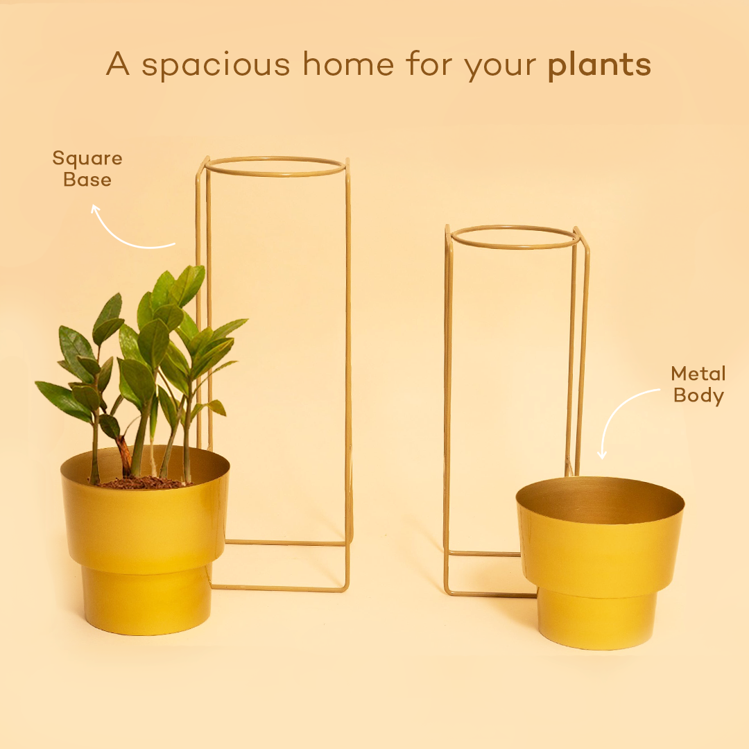 Metallic Gold Planters with Stand (Set of 2)