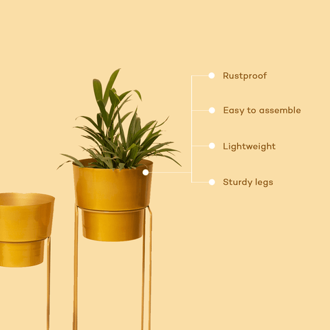 Metallic Gold Planters with Stand (Set of 2)