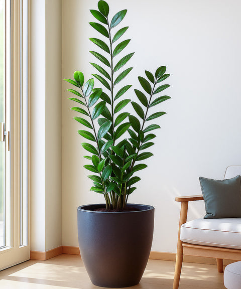 Kyari Lightweight & Durable Polymer Orbit Planter