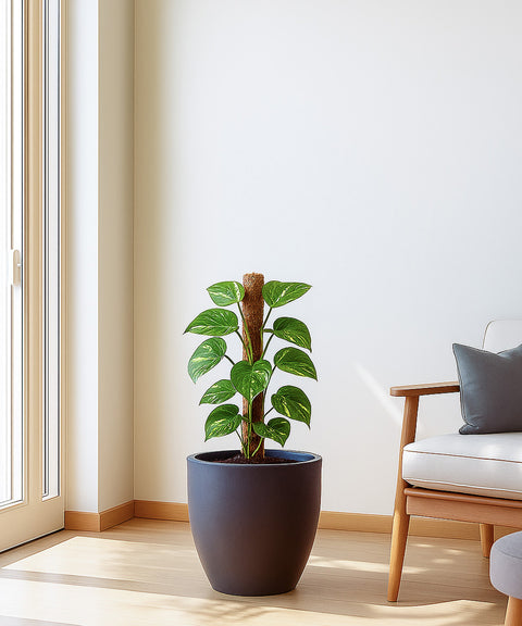 Kyari Lightweight & Durable Polymer Orbit Planter – Mini (8 inch)