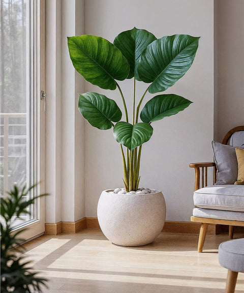 Syndey Silhouette Fiberglass Planter